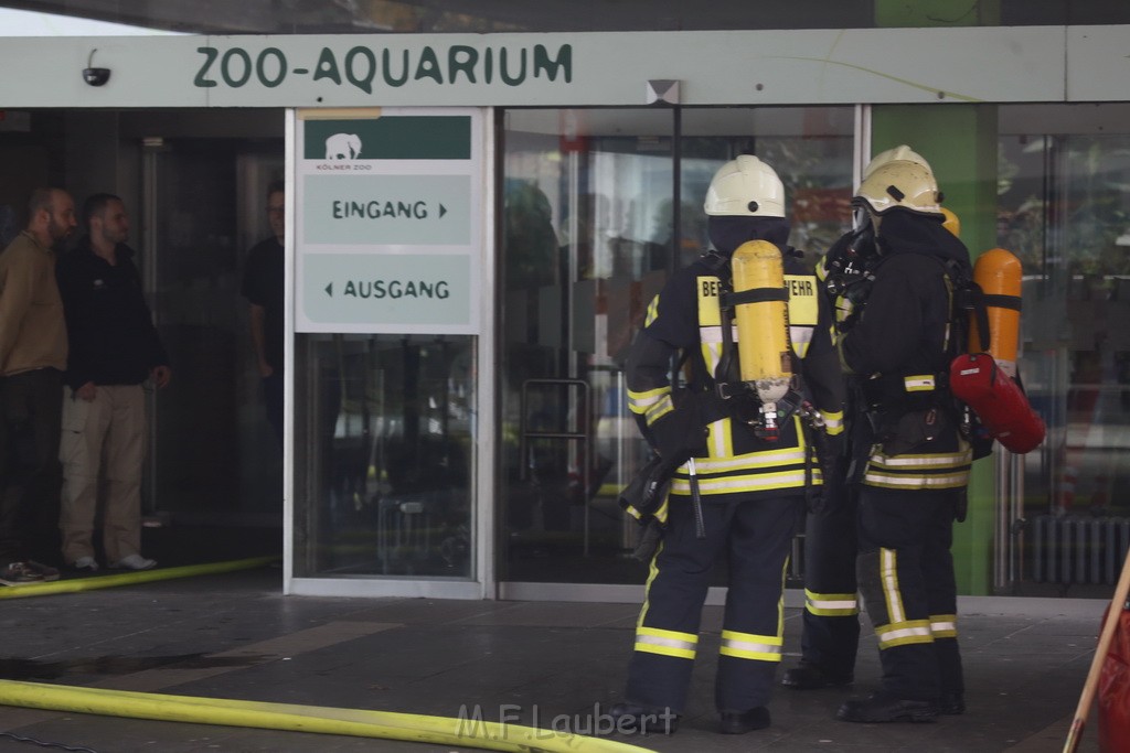 Feuer Zoo Aquarium Koeln Riehl P09.JPG